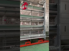 লেয়ার মুরগির খামার সরঞ্জাম 4 টিয়ার মুরগির খাঁচা 2.40m*2.60m*2.0m Rose