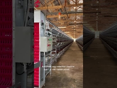 টার্নকি প্রকল্প স্বয়ংক্রিয় হাঁস-মুরগি ব্যাটারি কেজ সিস্টেম 3 টিয়ার 450cm2 স্টার