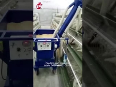 একটি টাইপ এবং এইচ টাইপ কাস্টমাইজেশন সাইজ স্বয়ংক্রিয় চিকেন ফিডিং কার্ট অ্যাডেলা