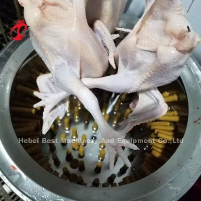 নাইজেরিয়া ডরিসে পোল্ট্রি ফার্ম কসাইখানা 1100w চিকেন ফেদার প্লাকিং মেশিন