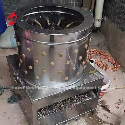 নাইজেরিয়া ডরিসে পোল্ট্রি ফার্ম কসাইখানা 1100w চিকেন ফেদার প্লাকিং মেশিন