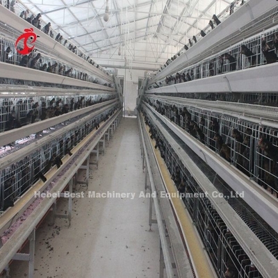 2.8mm-3.5mm Cage Wire Diameter Poultry Farming Cage System for High Rearing Efficiency অ্যাডেলা পোল্ট্রি ফার্মিং ক্যাব সিস্টেম উচ্চ উত্পাদন দক্ষতার জন্য