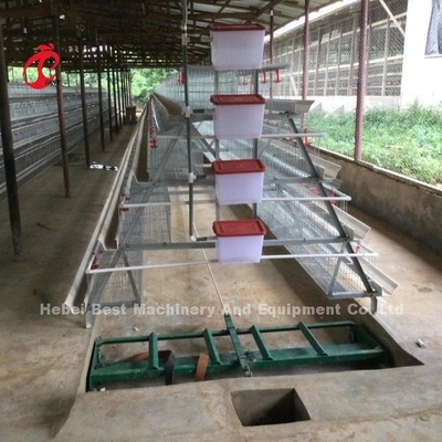 2.২ মিটার স্তর ব্যাটারি কেজ সিস্টেম 120-200 মুরগির জন্য Adela