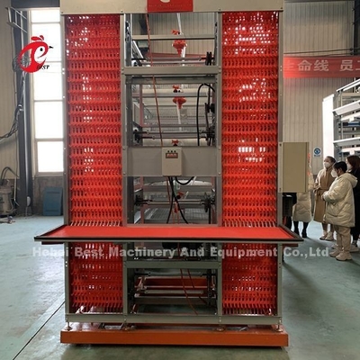 20 বছরের লাইফস্প্যান লেয়ার মুরগি পালন স্বয়ংক্রিয় মুরগির খাঁচা সরঞ্জাম 20,000 লেয়ার অ্যাডেলা
