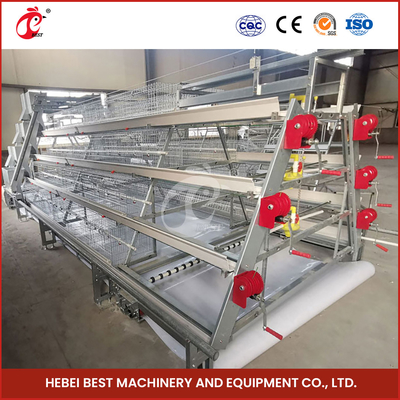 ISO14001 সার্টিফাইড অটোমেটিক ব্রয়লার চিকেন কেজ সিস্টেম 25 বছর দীর্ঘ জীবনকাল স্টার