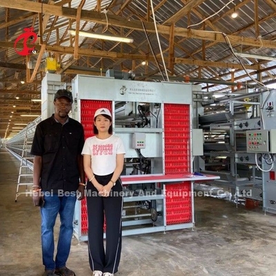 স্বয়ংক্রিয় খাওয়ানো এবং পানি সিস্টেমের সাথে ইলেক্ট্রো গ্যালভানাইজড পোল্ট্রি প্রজনন খাঁচা ডরিস