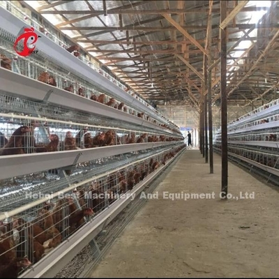 3 স্তর 40 সেমি সেল উচ্চতা স্তর ব্যাটারি খাঁচা সিস্টেম উন্নত স্তর উত্পাদনশীলতা জন্য আইরিস