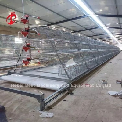 একটি টাইপ 3.8mm স্তর ব্যাটারি খাঁচা সিস্টেম 80-100 কেজি ওজন সঙ্গে ফিডার এমিলি ওয়াং
