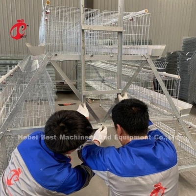 টাইপ চিকেন 128 পাখি হাঁস-মুরগি চিকেন ব্যাটারি খাঁচা সিস্টেম গরম ডুবা নাইজেরিয়া জন্য গ্যালভানাইজড ফার্ম ডরিস