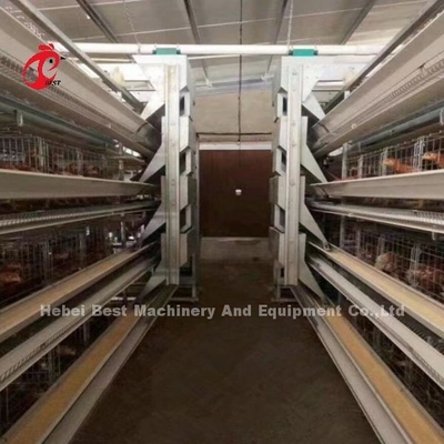স্বয়ংক্রিয় স্তর ব্যাটারি খাঁচা সিস্টেম H ফ্রেম জন্য 30000 পাখি হাঁস ফার্ম এমিলি ওয়াং