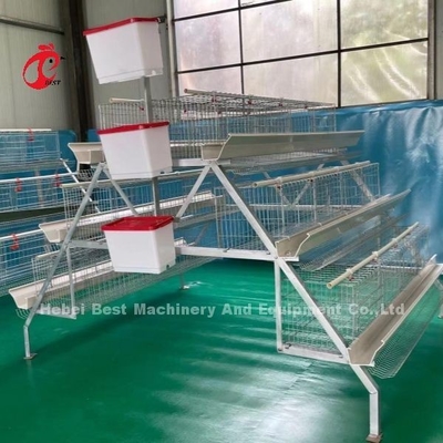 3 স্তর 120 পাখি এবং 4 স্তর 160 পাখি স্তর ব্যাটারি খাঁচা সিস্টেম উগান্ডা তানজানিয়া পাখি খামার স্যান্ডি জন্য