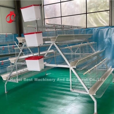 স্বয়ংক্রিয় স্তনপানকারী সহ উন্নত হাঁস-মুরগি চাষের খাঁচা সিস্টেম এমিলি ওয়াং
