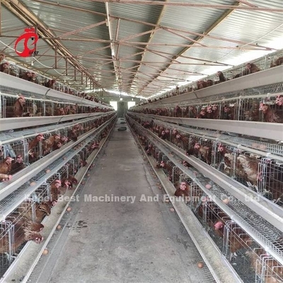 একটি টাইপ ম্যানুয়াল ডিম laying মুরগি পোল্ট্রি খাঁচা এমিলি