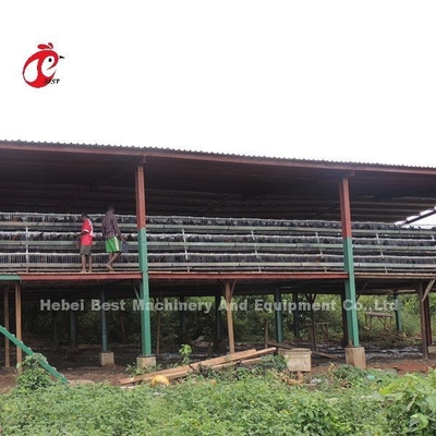 110 কেজি চিকেন ব্যাটারি কেজ 450cm2 এলাকা / পাখি Adela