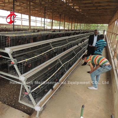 একটি টাইপ 3 স্তর স্তর চিকেন ব্যাটারি খাঁচা 120 পাখি 450cm2 তারকা