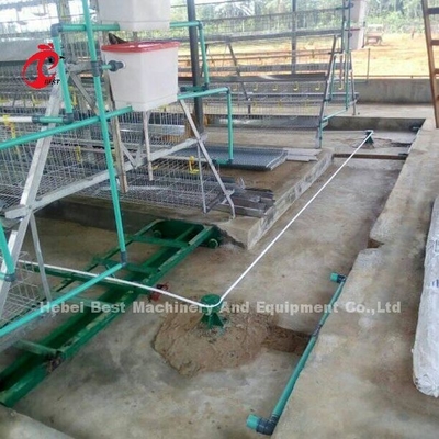 পোল্ট্রি ফার্ম আইরিসের জন্য পুনর্ব্যবহৃত 380V 8kw সার প্রসেসিং সিস্টেম স্ক্র্যাপার