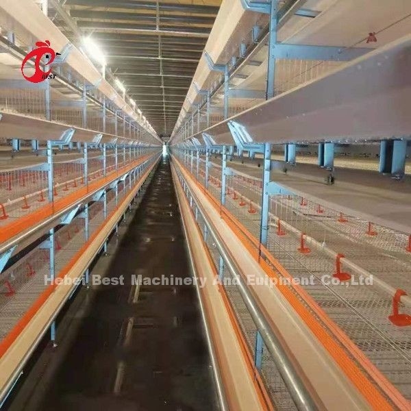 কেনিয়ার সেরা গ্যালভানাইজড ৩ টিয়ার ৯৬ পাখি স্তর ব্যাটারি কেজ সিস্টেম ফার্ম মিয়া