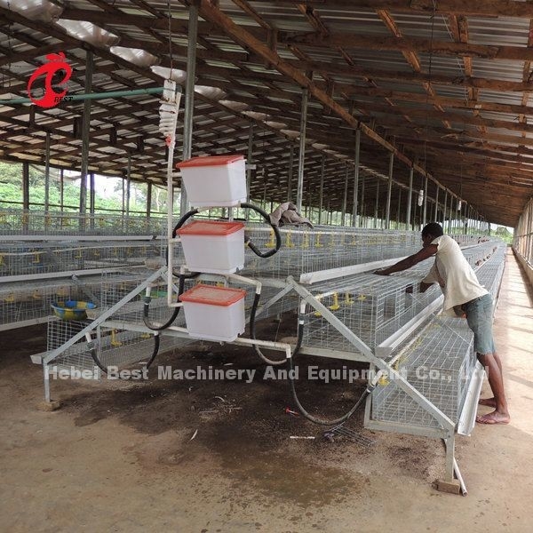 CE A Type 120 Birds Chick Rearing Kage with Drinkers and Feeders Star