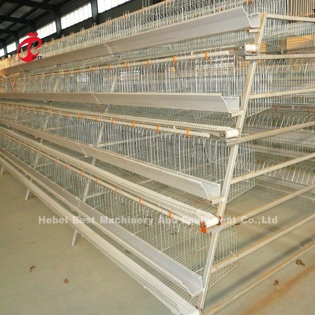 2.8mm-3.5mm Cage Wire Diameter Poultry Farming Cage System for High Rearing Efficiency অ্যাডেলা পোল্ট্রি ফার্মিং ক্যাব সিস্টেম উচ্চ উত্পাদন দক্ষতার জন্য