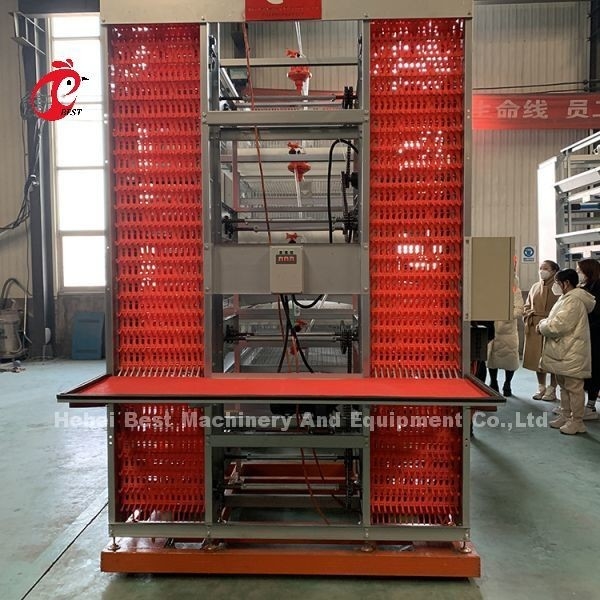 20 বছরের লাইফস্প্যান লেয়ার মুরগি পালন স্বয়ংক্রিয় মুরগির খাঁচা সরঞ্জাম 20,000 লেয়ার অ্যাডেলা