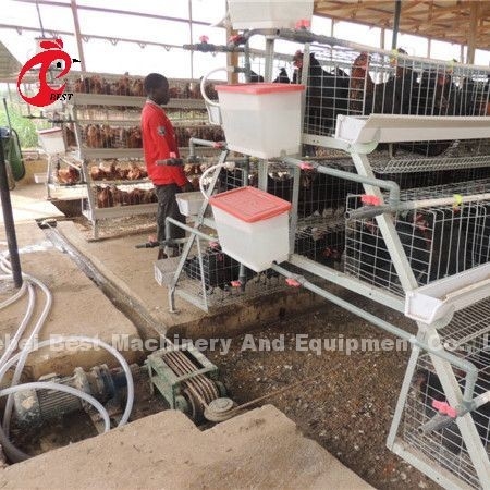 পোল্ট্রি চিকেন হাউস স্টারের জন্য 220V 380V স্ক্র্যাপার টাইপ সার অপসারণের মেশিন