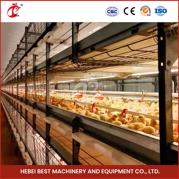 20,000 পাখি সহজ অপারেট সম্পূর্ণ স্বয়ংক্রিয় Broiler খাঁচা সিস্টেম জন্য মুরগি খামার স্যান্ডি