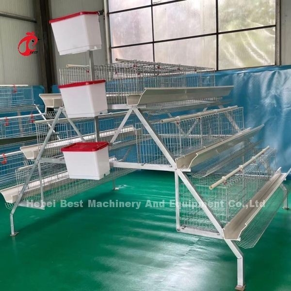 2.8mm-3.5mm Cage Wire Diameter Poultry Cage System শ্রম সাশ্রয় লাভ বৃদ্ধি আইরিস