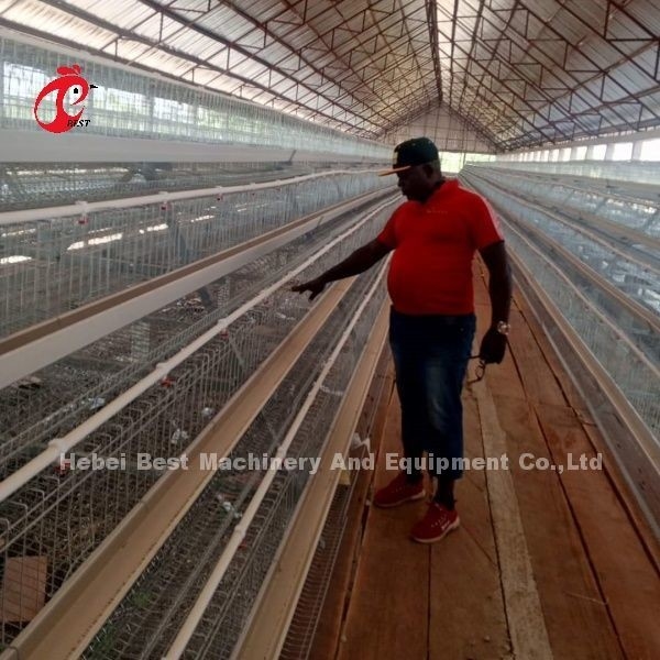 96-200 পাখি ক্যাপাসিটি নাইজেরিয়ায় হোয়াইট স্তর খাঁচা হট ডপ গ্যালভানাইজড স্টিল স্টার