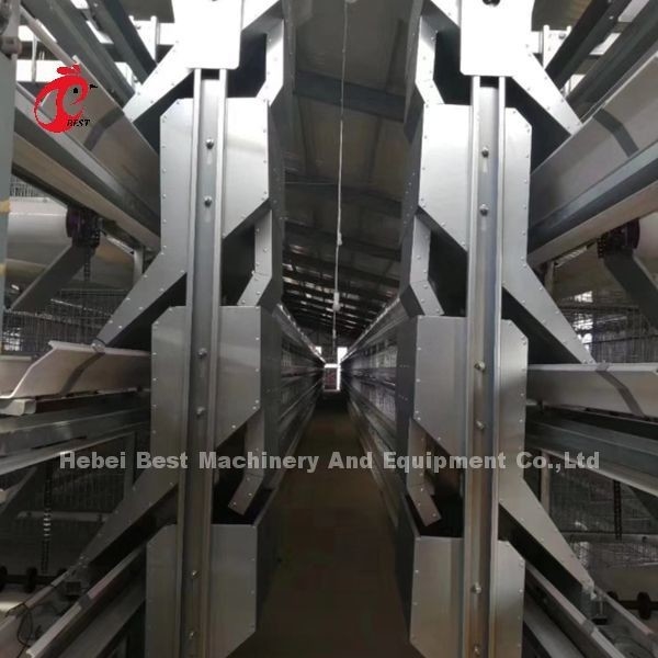 গ্যালভানাইজড পোল্ট্রি ফার্মিং এক ধরনের স্বয়ংক্রিয় খাঁচা সিস্টেম জন্য স্তর নাইজেরিয়া জনপ্রিয় গোলাপ