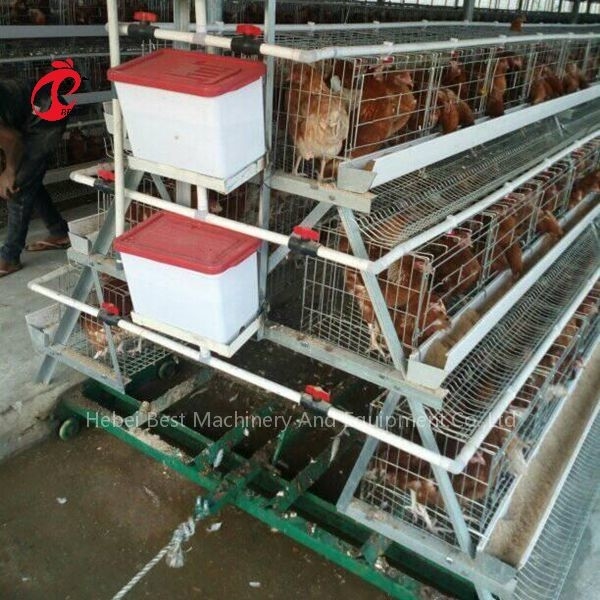 খাঁচা সিস্টেম পোল্ট্রি সার স্ক্র্যাপার সার পরিষ্কার করা 3 প্রকার আইরিস